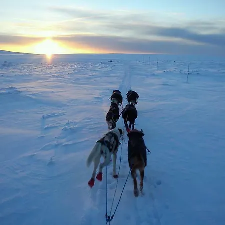 Feriehus I * Rendalen